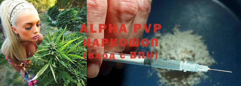 наркота  Каменногорск  Alpha-PVP СК КРИС 