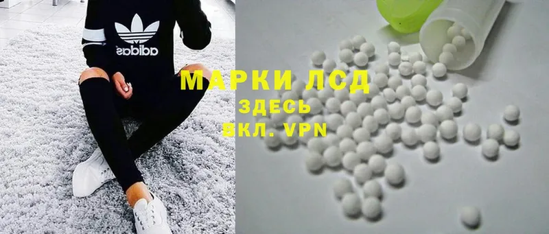 Лсд 25 экстази ecstasy Каменногорск