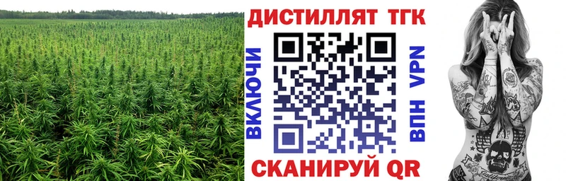 купить закладку  Каменногорск  Дистиллят ТГК THC oil 